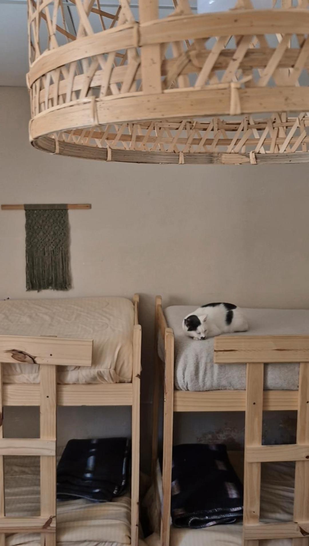Mestiza Hostal Умауака Экстерьер фото